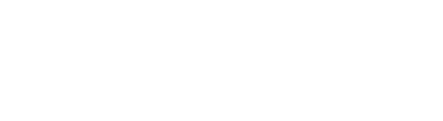 DIY Financial Management Logo